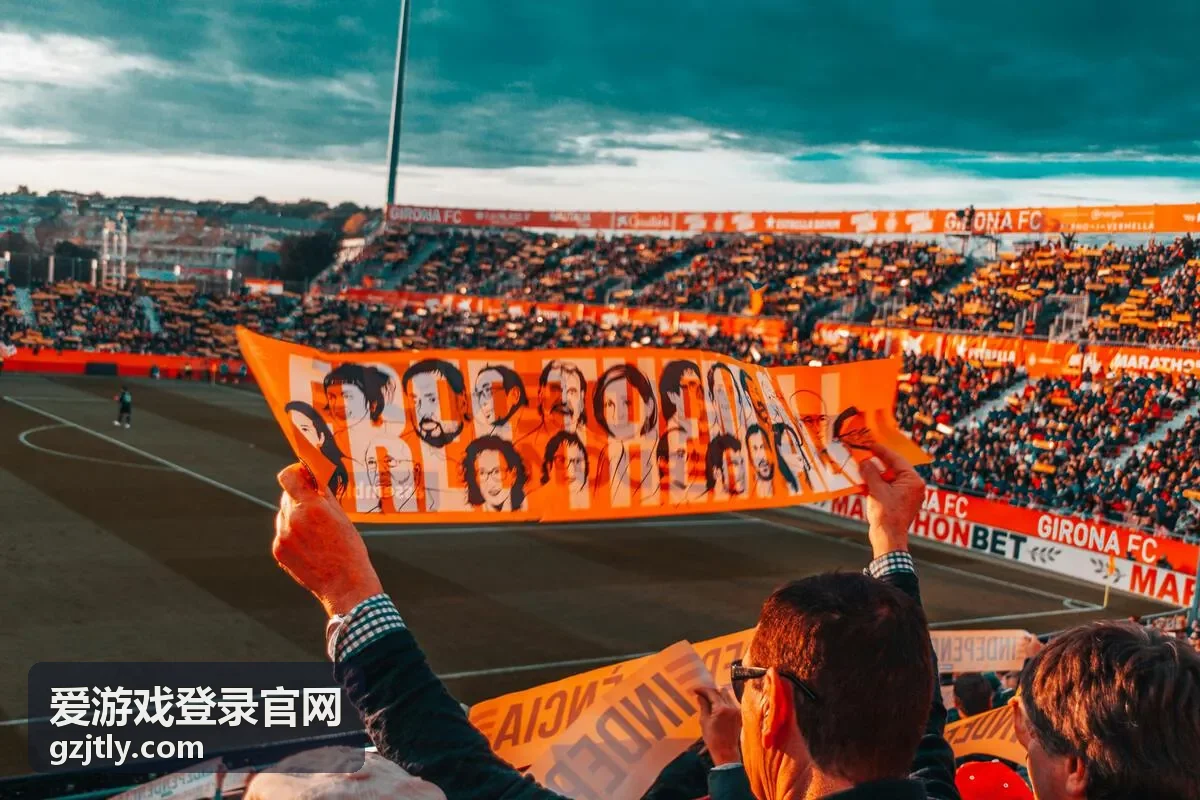 爱游戏登录官网账号安全异地登录提醒处理示意